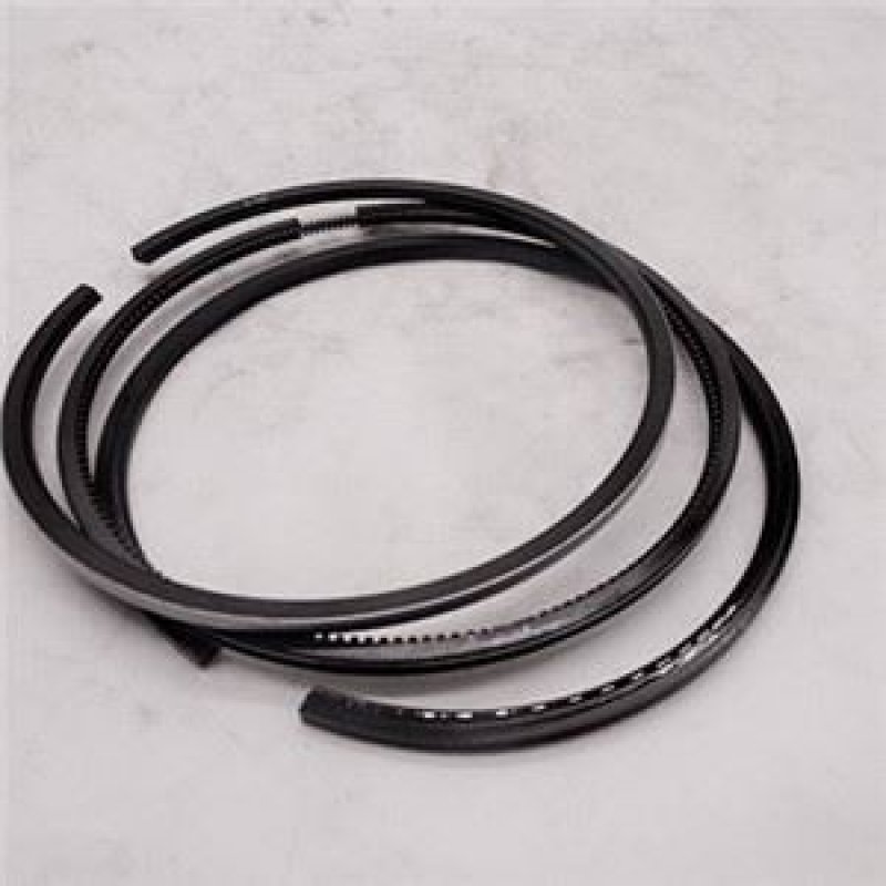 Piston Ring 4955651