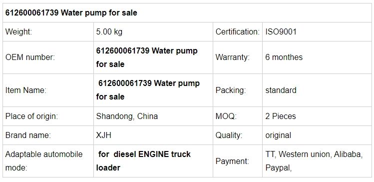 612600060307 612600061739 Cheap China Water Pump for Sale.jpg